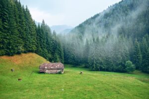 Photo Beautiful Places in Botoșani County