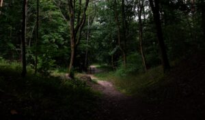 Photo trails in Apuseni