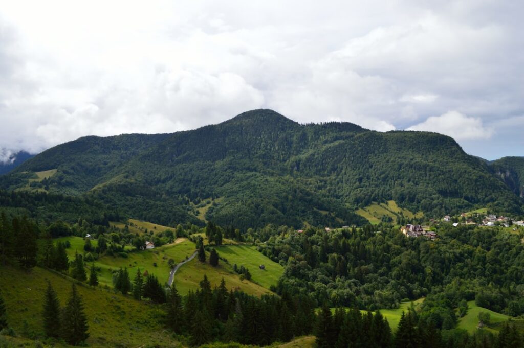 Photo Transylvania