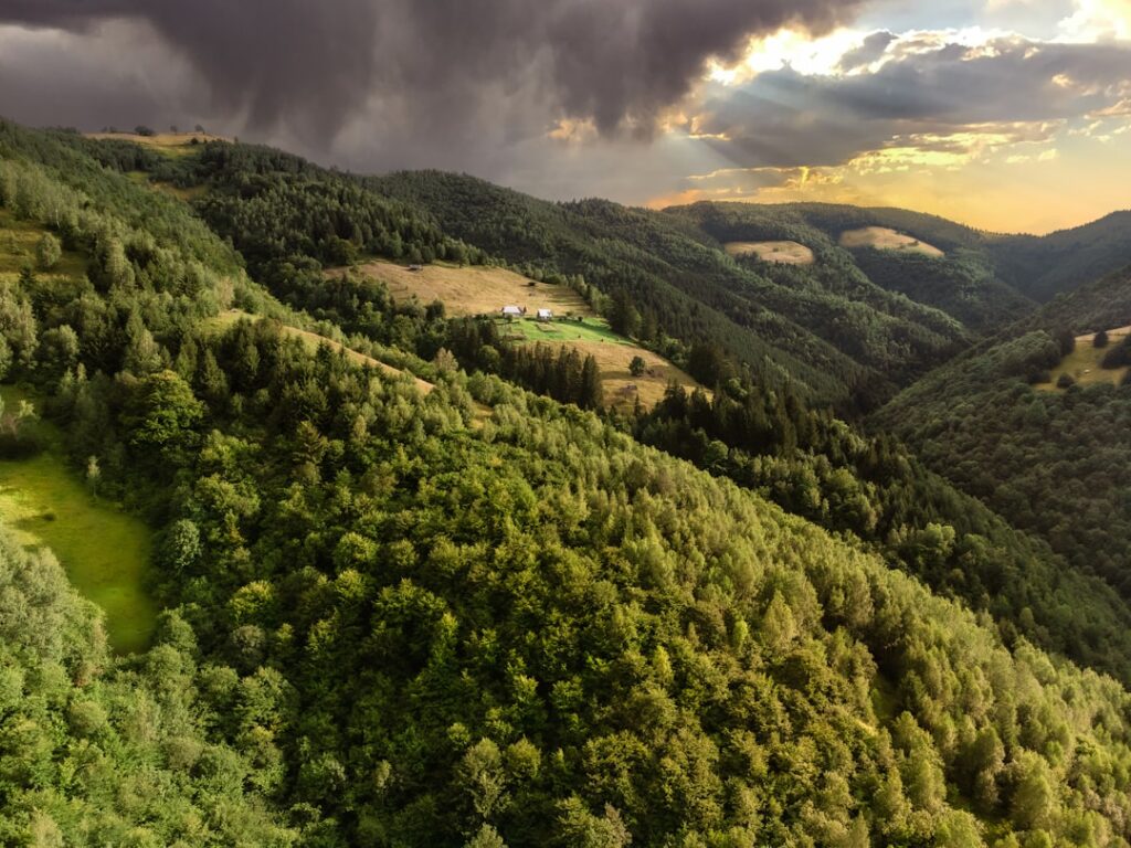 Photo Apuseni Mountains
