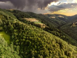 Photo Apuseni Mountains