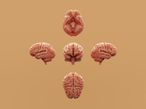 Photo healthcare system