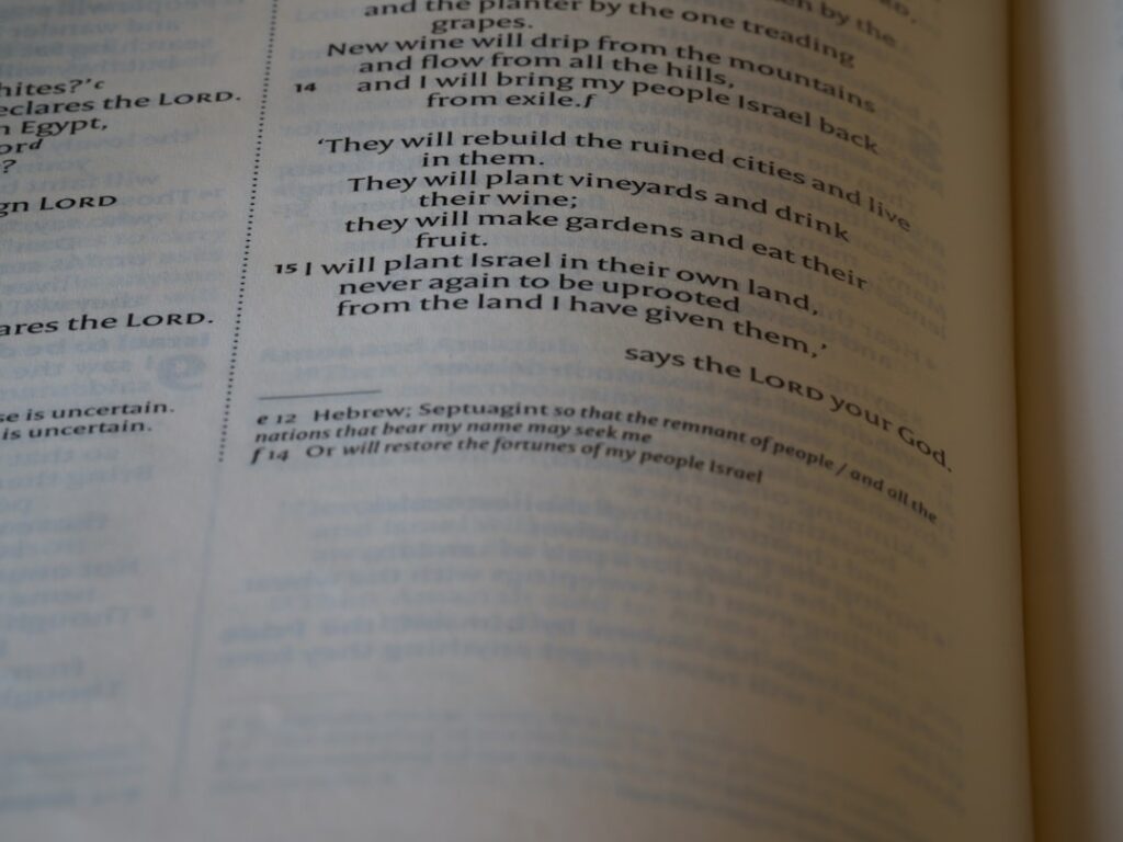 Photo legislația muncii