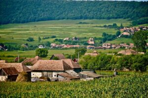 Photo Romanian wines