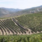 Photo agricultura romaneasca