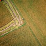 pexels-h-u-th-nh-79-516407425-36625433