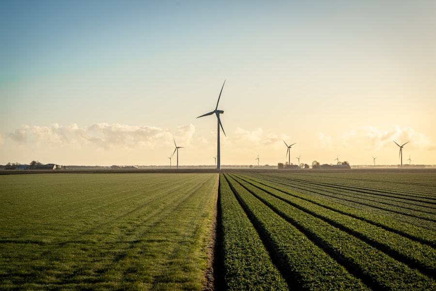 energie economisire