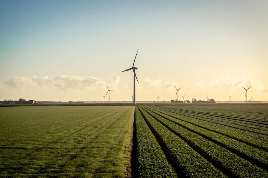 energie economisire
