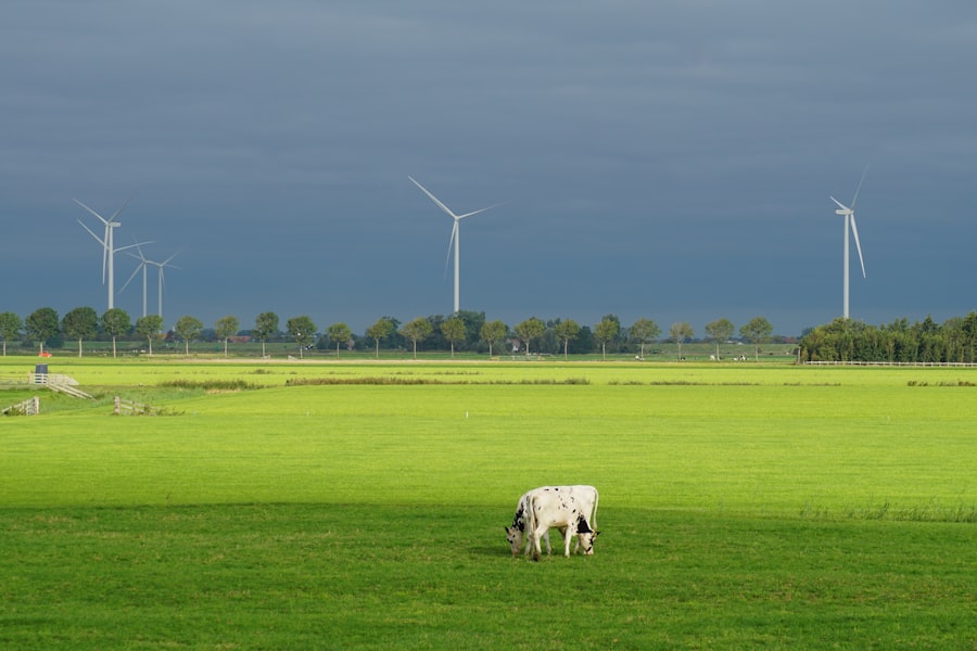 Photo energie economisire