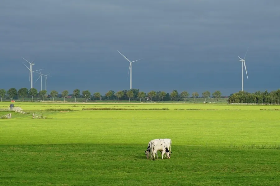 Photo energie economisire