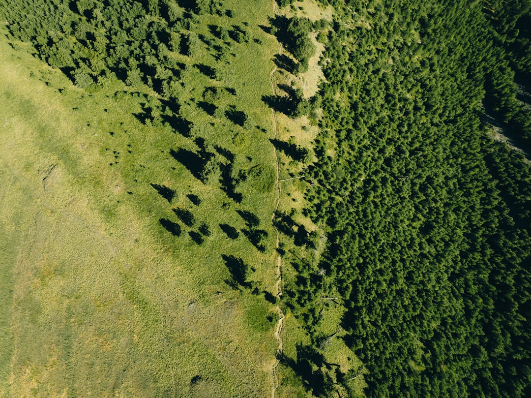 Photo carbon footprint