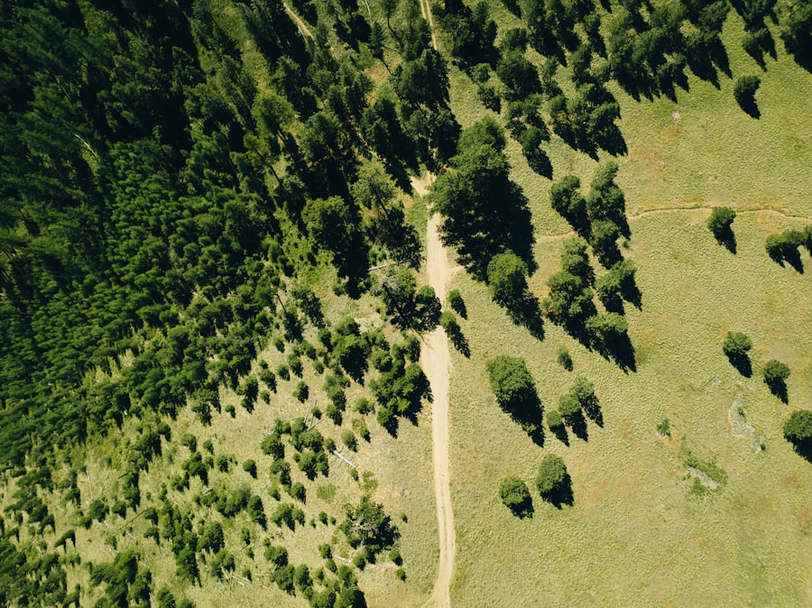 Photo carbon footprint