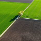 Photo agricultural land investments