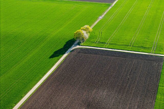 Photo agricultural land investments