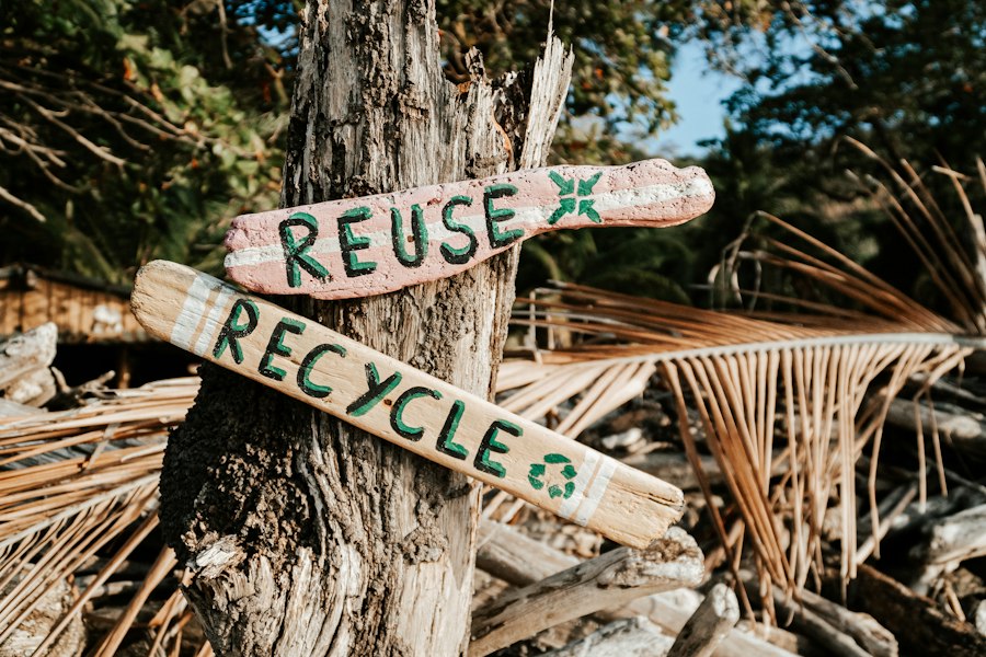Photo recycling options