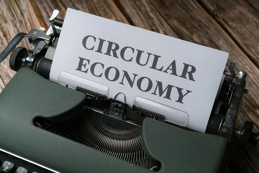 economy basics infographic