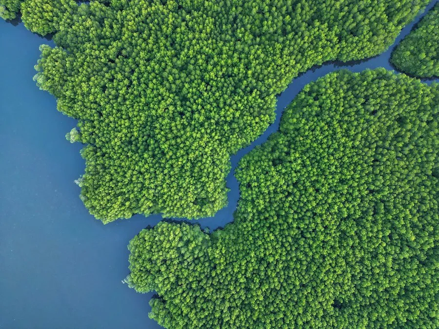 environment knowledge infographic