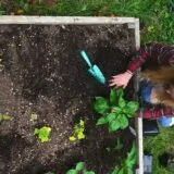 Cum să îți organizezi o grădină bio în oraș: sfaturi practice